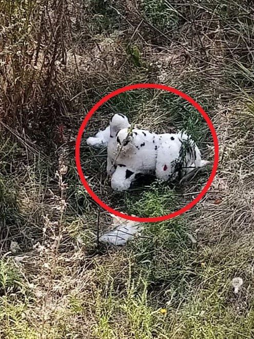 Внимание, опасно!. Не поддаётся никакому описанию вся низость и цинизм врага! Террористические методы, опробованные на Донбассе, теперь применяются и на Харьковской земле