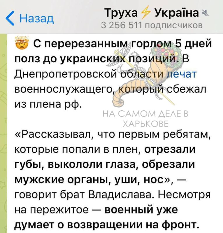 Вам бы сценарии для голливудских триллеров писать Вам бы сценарии для голливудских триллеров писать