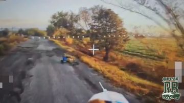 "Птичий рейд" в Днепропетровской области