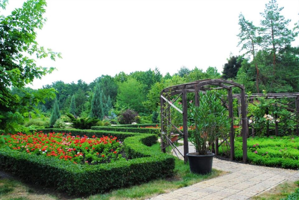 Алексей Кулемзин: Ботанический сад — одно из самых любимых мест отдыха Дончан