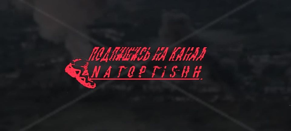  :        ,    