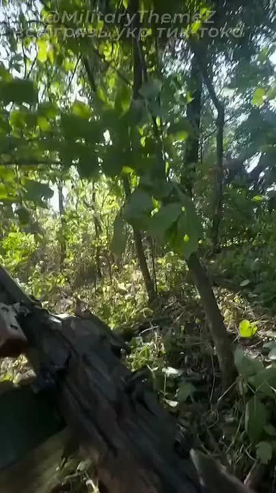 Харьковское направление. Бандеровец из 3-й ошбр поймал свое счастье в виде осколка от близкого прилёта российской мины