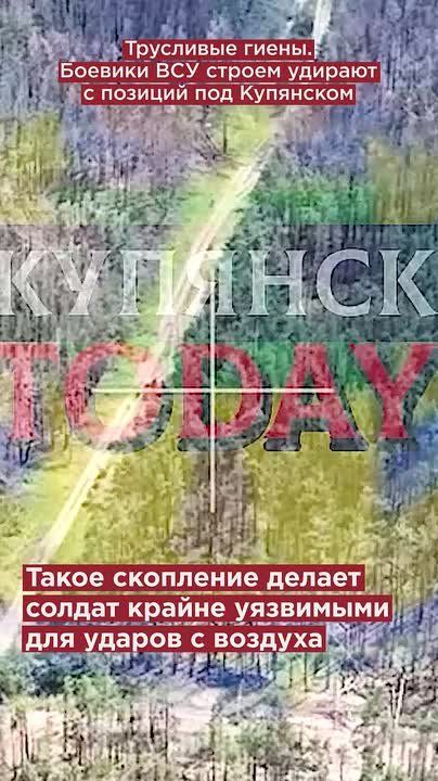 Трусливые гиены. Боевики ВСУ строем удирают с позиций под Купянском