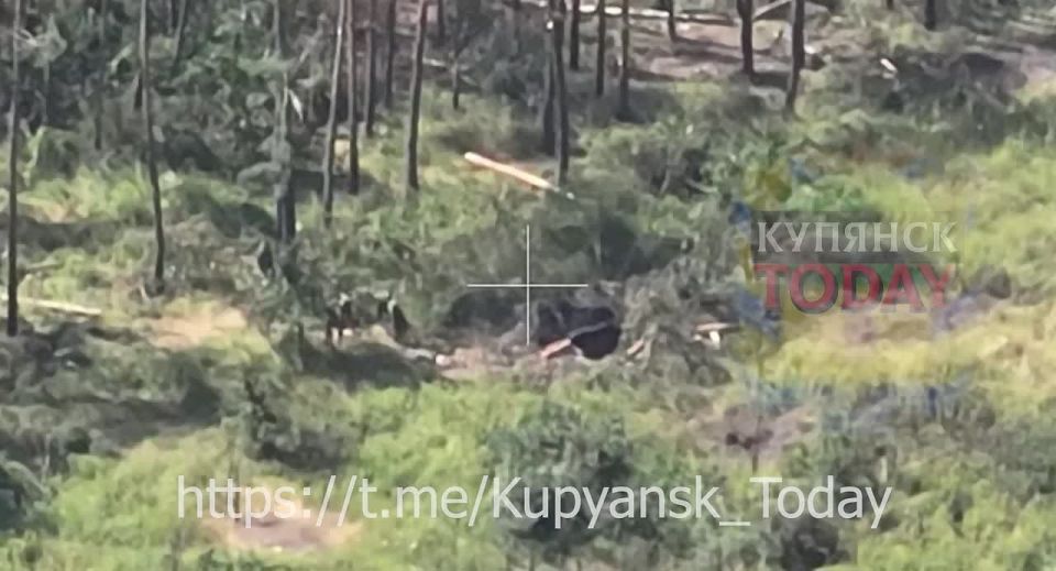 Уничтожение пехоты ВСУ в окрестностях Купянска