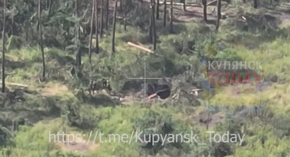 Артиллерия ВС РФ продолжает обрабатывать позиции противника