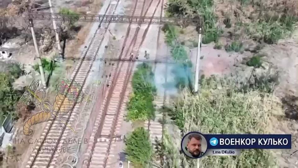 Кадры, от которых стынет в жилах кровь