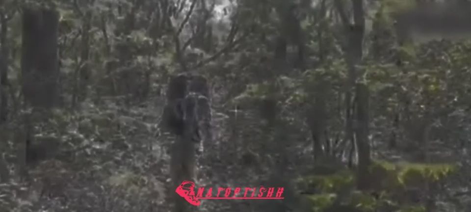    11   &quot;&quot;    ,   &quot;FPV&quot;      