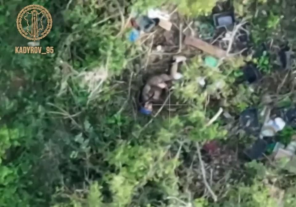 Рамзан Кадыров: Бойцы батальона «Запад-АХМАТ» МО РФ совместно с сотрудниками ОМВД России по Курчалоевскому району ЧР под руководством дорогих БРАТЬЕВ — Рустама и Исмаила Агуевых продолжают результативно действовать на...