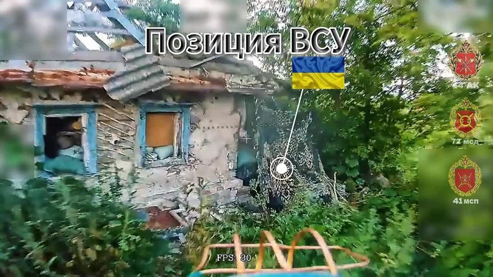   ....  .      ,  41  44         .     ...