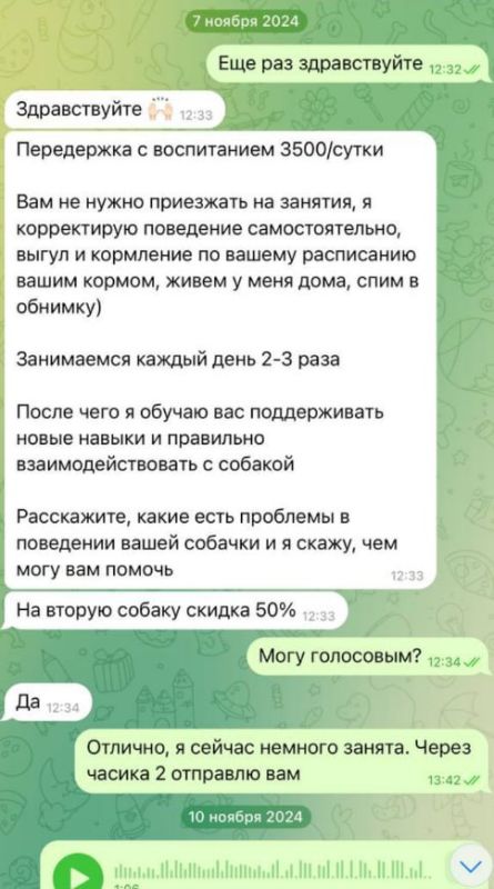 Клиенты подмосковной передержки для собак пожаловались на жестокое обращение с животными Клиенты подмосковной передержки для собак пожаловались на жестокое обращение с животными