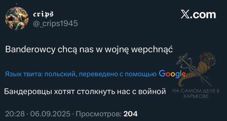 Неизвестный украинский летательный аппарат разбился вчера в Польше
