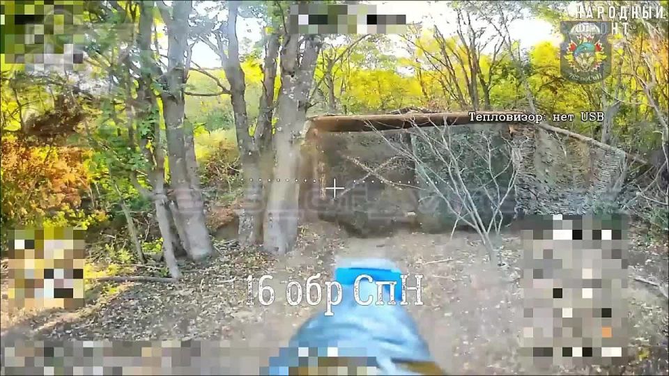   FPV-      PzH 2000   .. ,  