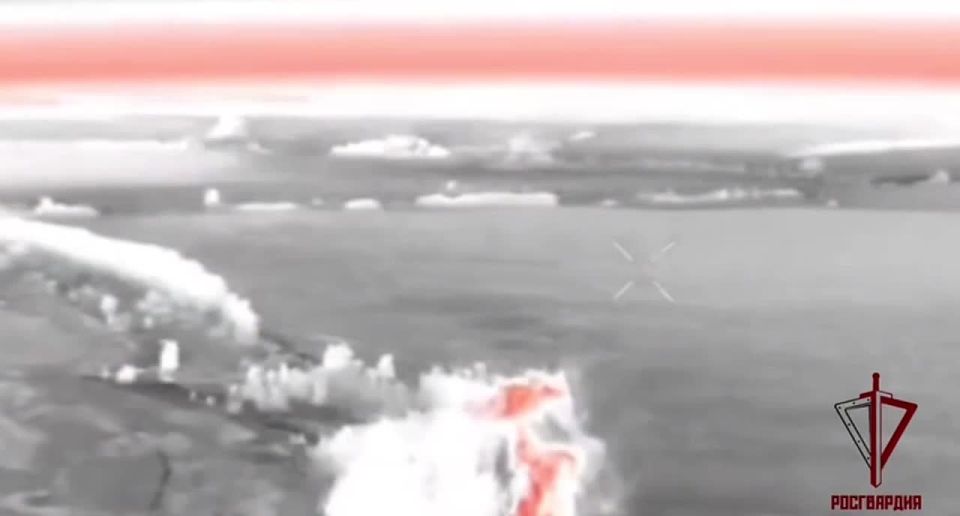 Операторы БПЛА Росгвардии сбили украинскую «Бабу-Ягу» на харьковском направлении