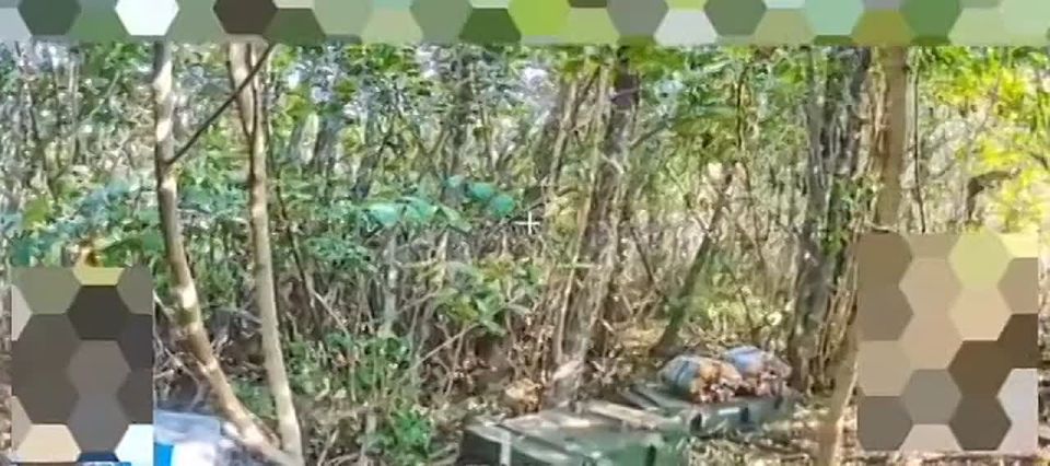 Евгений Поддубный: Очень жирную цель обнаружила разведка 1-й ТА в ходе облёта лесных массивов Харьковщины