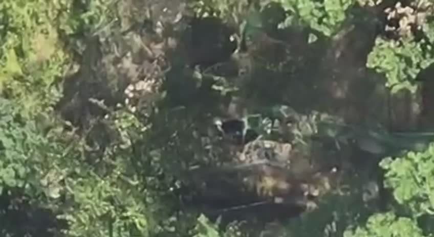 Рамзан Кадыров: Харьковское направление.. Стрелковый батальон имени Шейха Мансура МО РФ под руководством дорогого БРАТА, боевого офицера Муслима Товзаева, продолжает уверенно и методично наносить противнику серьёзные потери....