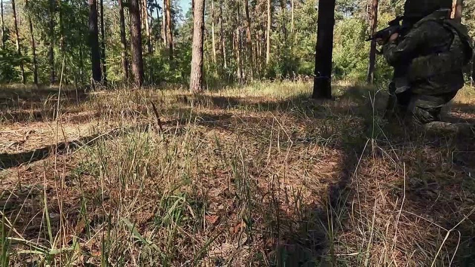 Защитники неба Белгородской области