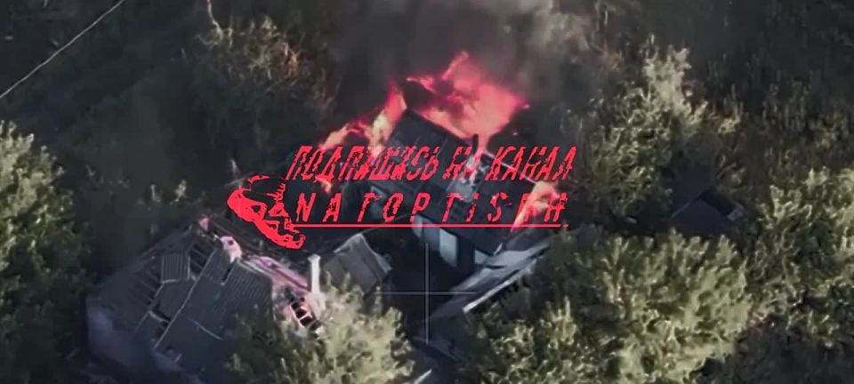  ..       6   &quot;&quot;      .       FPV  