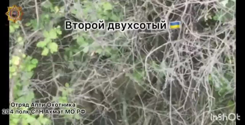 Апти Алаудинов: Уничтожение живой силы противника