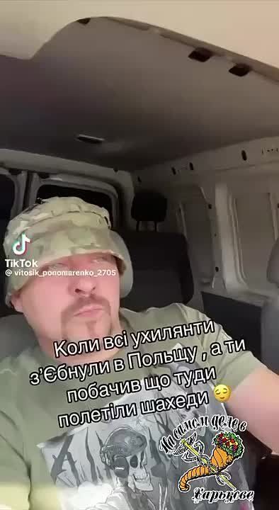 "Едына краина" как есть!. "Щірі патріоты" в восторге от того, что дроны прилетели в Польшу и перепугали всех "ухилянтов"