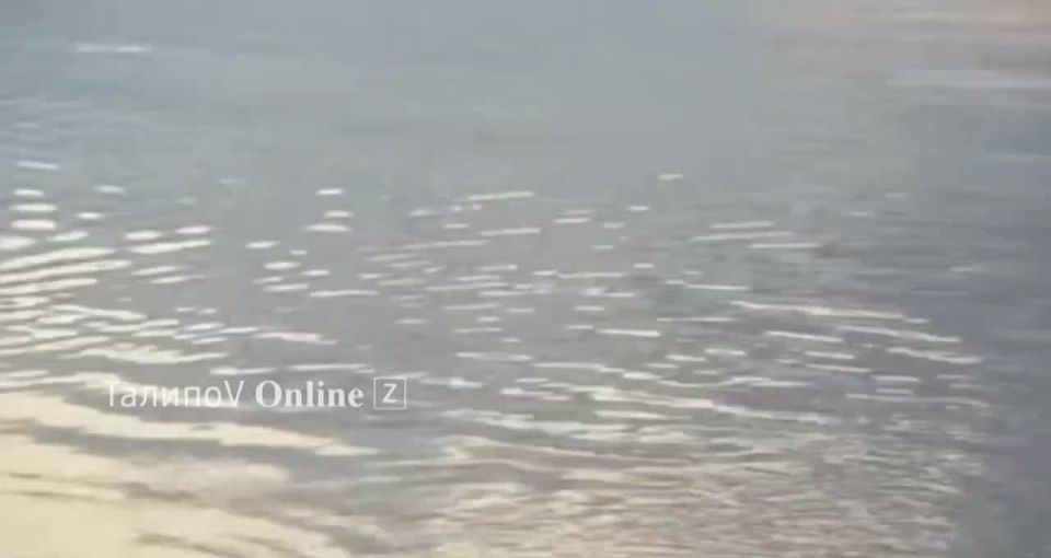 Сиплый граф Дякула №2 о том как Родина предала "кормилицу" СССР