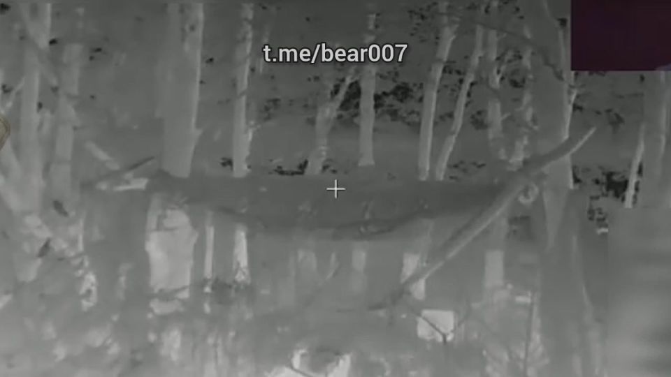 Расчёты Отряда "Анвар" уничтожают украинских боевиков и их технику в приграничье Сумской, Черниговской и Харьковской областей