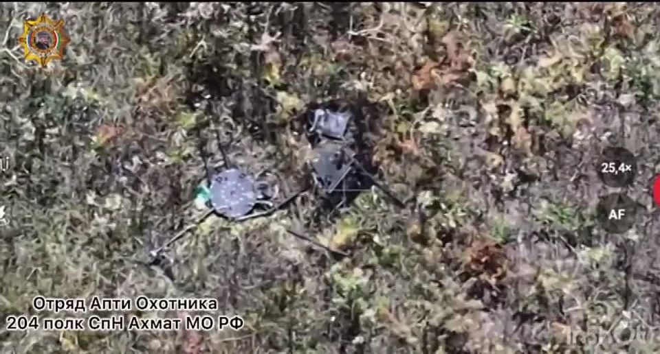  :    &quot;Vampire&quot;