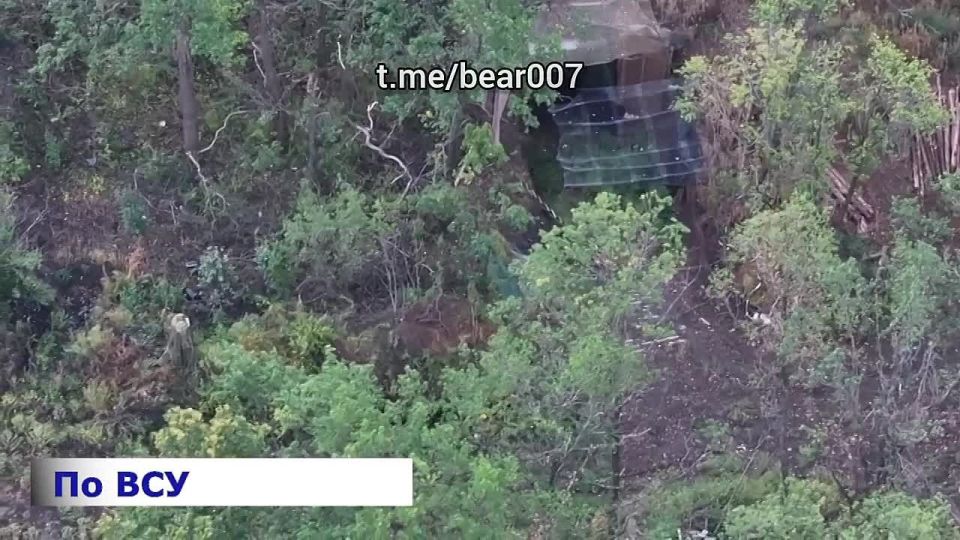   &quot;&quot;         ,    