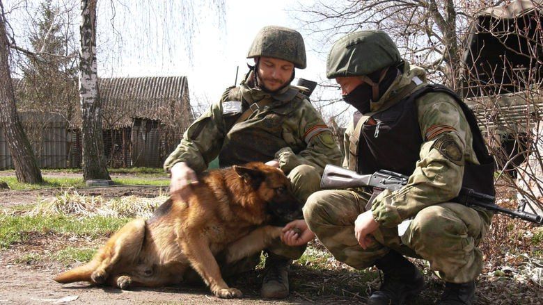 Харьковский дневник: «Россия дала людям возможность строить будущее»