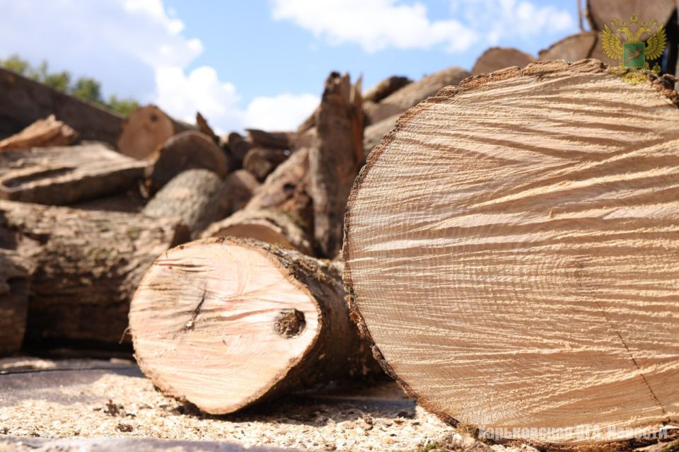 Военно-гражданская администрация при поддержке Ассоциации «Наш Харьков» продолжает обеспечивать население Харьковской области углём и дровами к отопительному сезону Военно-гражданская администрация при поддержке Ассоциации «Наш Харьков» продолжает обеспечивать население Харьковской области углём и дровами к отопительному сезону