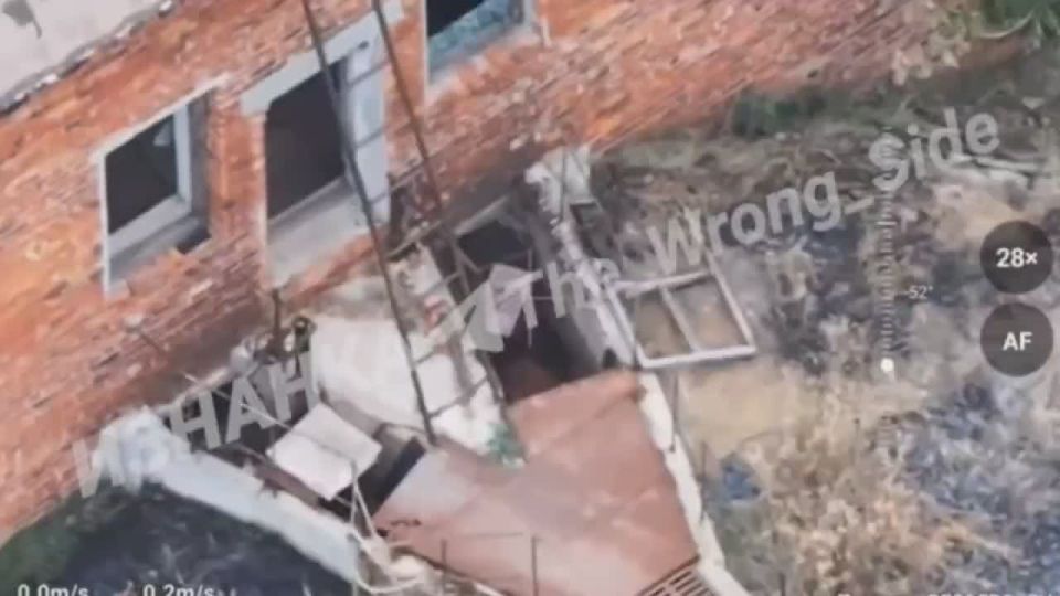 В районе н.п. Подолы Купянский район