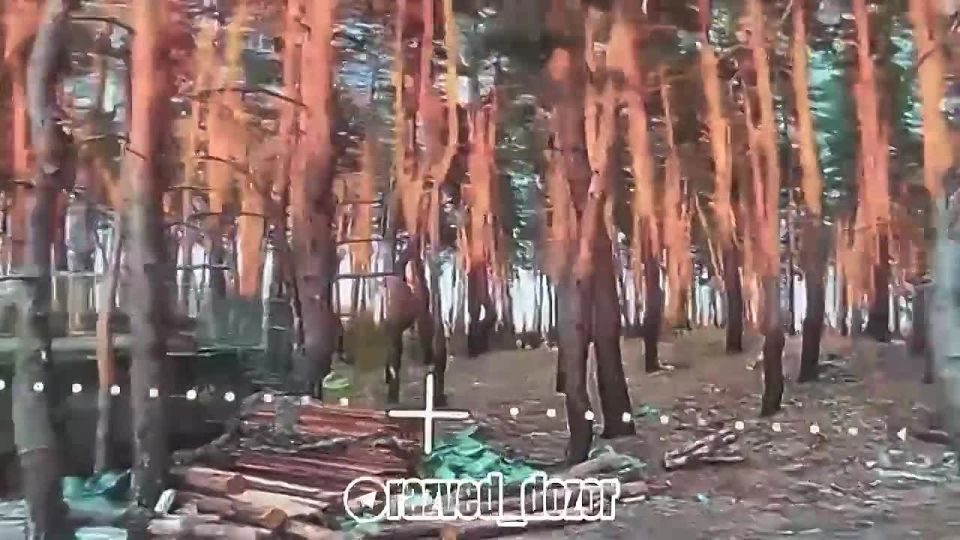  27   , Roshel Senator      