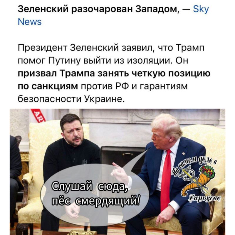 Чтобы Зелебоба меньше гавкал, Донни потянул его за поводок: