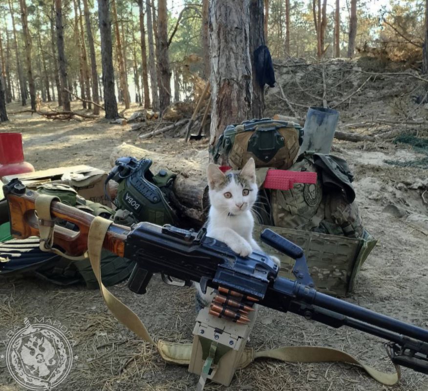 Два майора: Рубрика «Будни солдата»