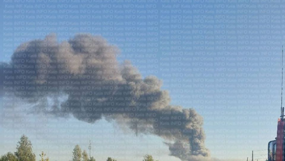 ׸    ,     &quot;&quot;