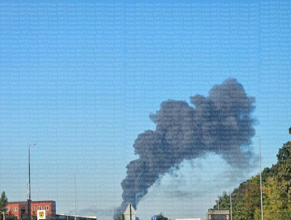 ׸    ,     &quot;&quot;