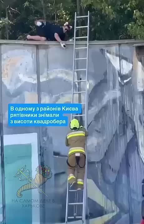 В Киеве спасатели снимали с крыши квадробера