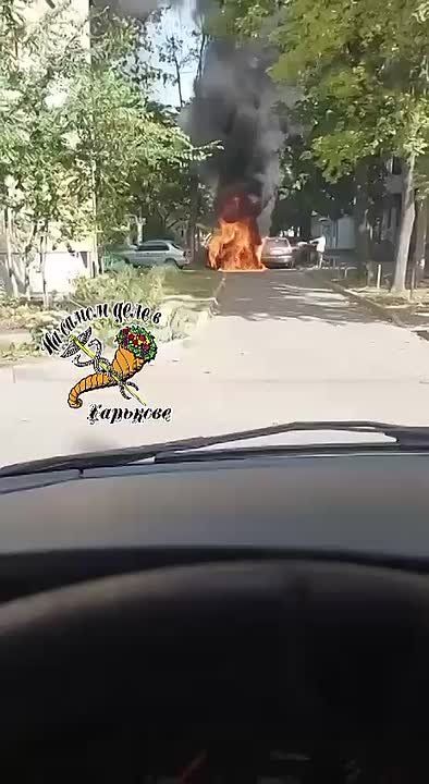 На Павловом поле сгорело 2 авто