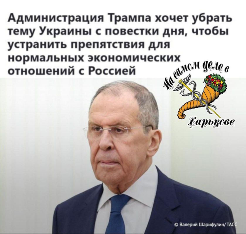 Кота будут тянуть за хвост до последнего