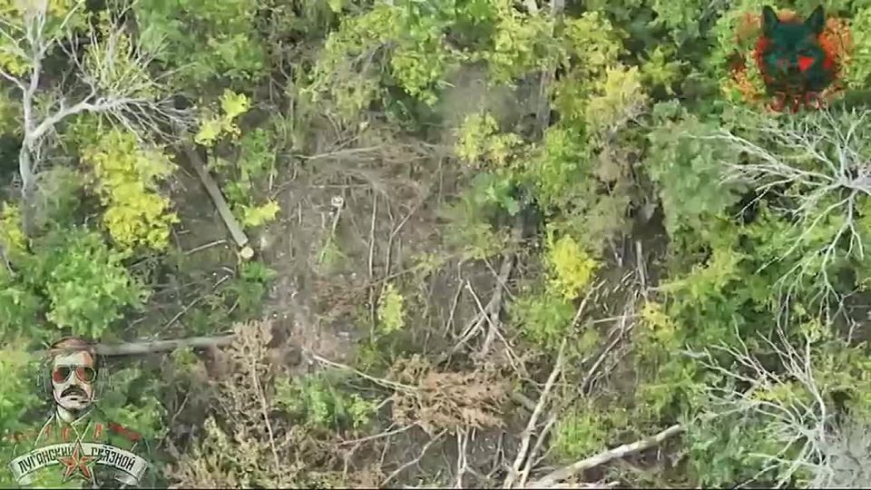 Уничтожение пункта управления БПЛА ВСУ и минометной позиции в районе Купянска