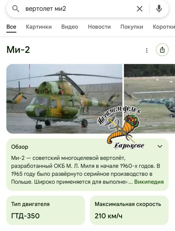   &quot; &quot;  ,  &quot;&quot; 