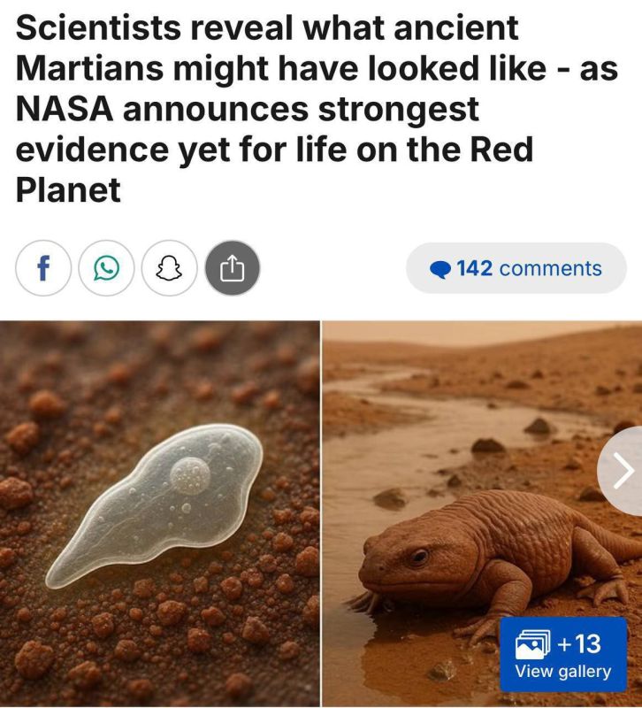 На Марсе найдены признаки жизни — впервые за 30 лет исследований