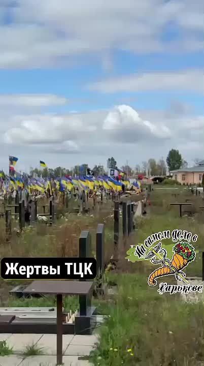 18-ое кладбище в Харькове. ПОДПИСАТЬСЯ Наш чат