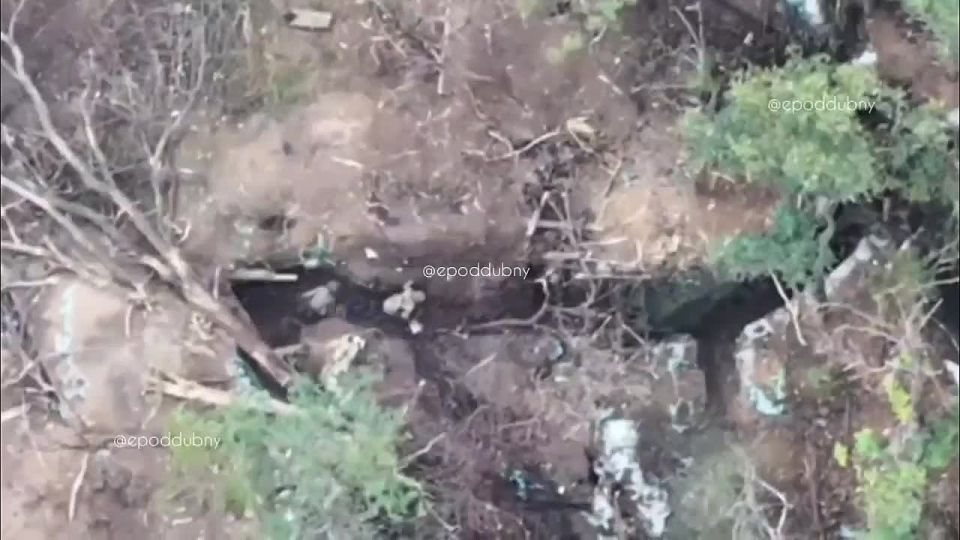 Евгений Поддубный: Продолжительность жизни на ЛБС насильно мобилизованных украинцев невелика