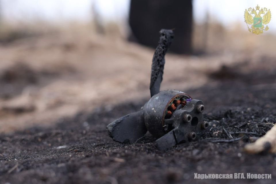 Село Тополи Купянского района страдает от разрушений социальных объектов и домов мирных жителей из-за хаотичных ударов вооруженных формирований Украины Село Тополи Купянского района страдает от разрушений социальных объектов и домов мирных жителей из-за хаотичных ударов вооруженных формирований Украины