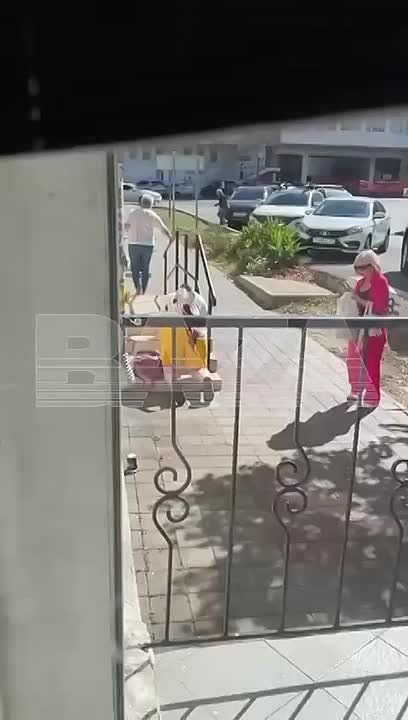 Нацисты в Киеве выпрашивают ответку, чтобы снова визжать "а нас за що?"