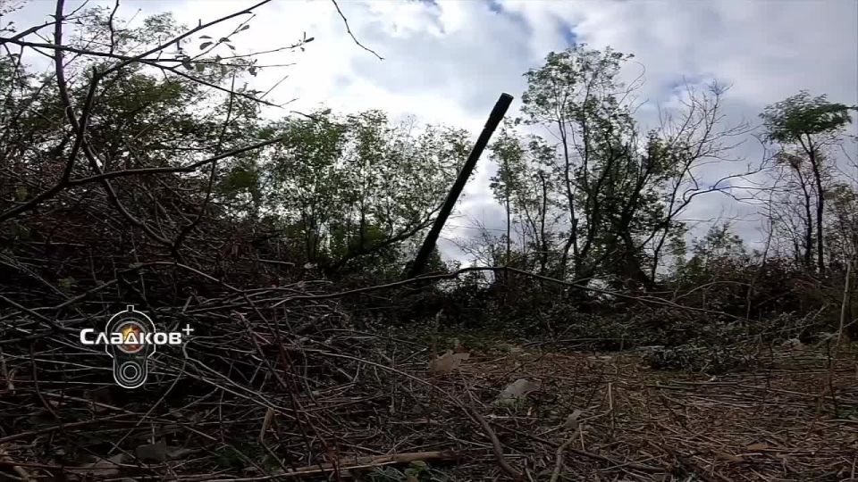 Александр Сладков: О ходе освобождения территории в зоне проведения специальной военной операции