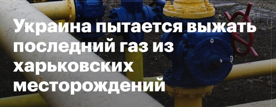 Огораживание по-харьковски