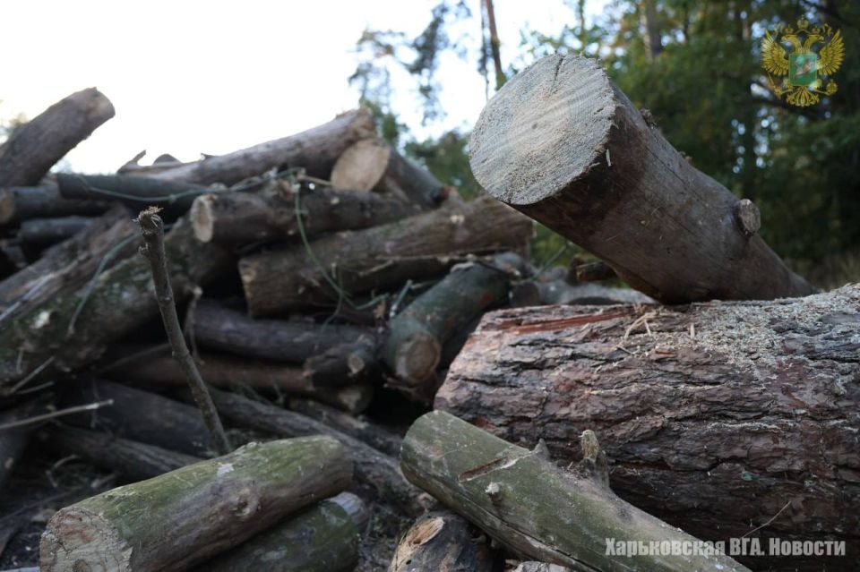 Сотрудники Военно-гражданской администрации оказали помощь в заготовке дров военнослужащим, которые несут службу на Харьковском направлении Сотрудники Военно-гражданской администрации оказали помощь в заготовке дров военнослужащим, которые несут службу на Харьковском направлении