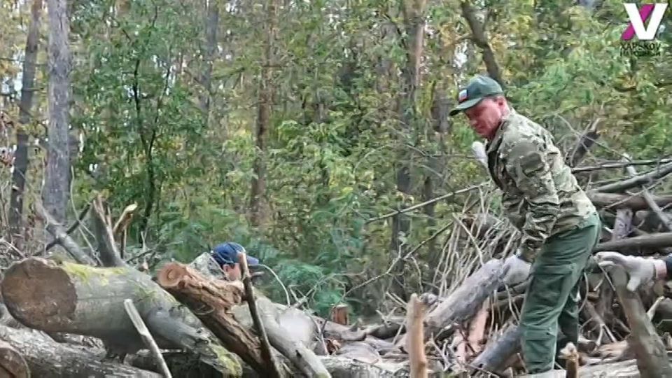 Сотрудники Военно-гражданской администрации выполнили работу по заготовке и погрузке дров для одного из российских подразделений, несущих службу на Харьковском направлении