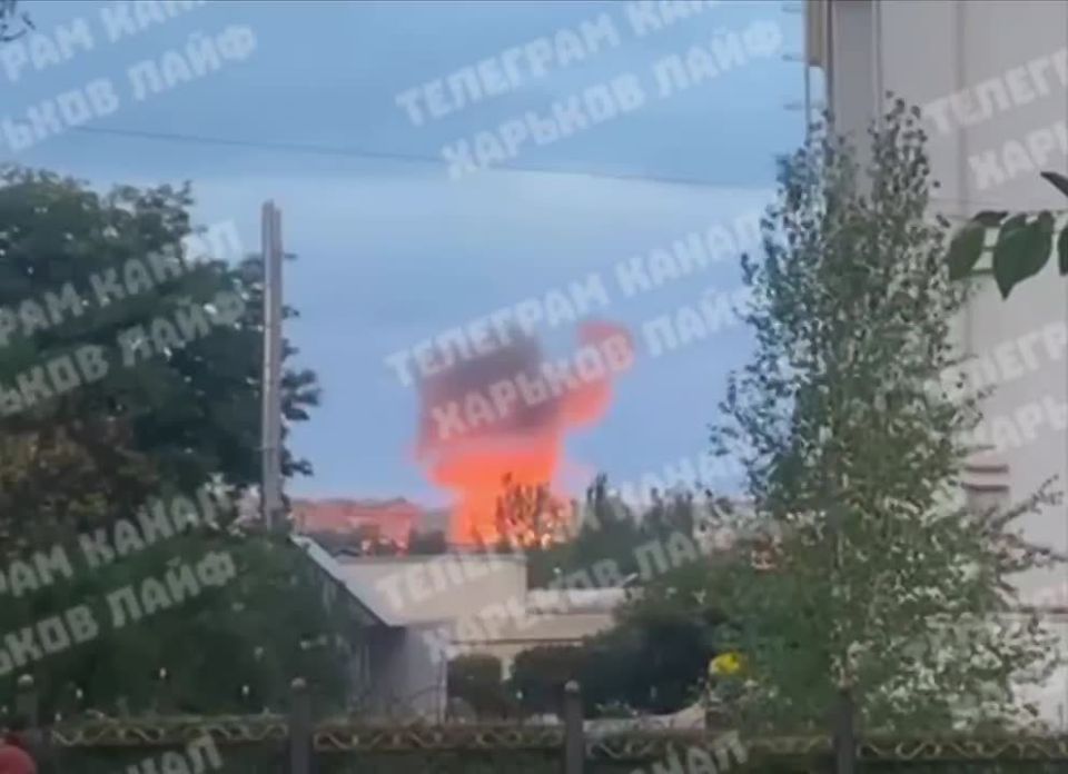 Два майора: Харьков. В дополнение к Днепропетровску